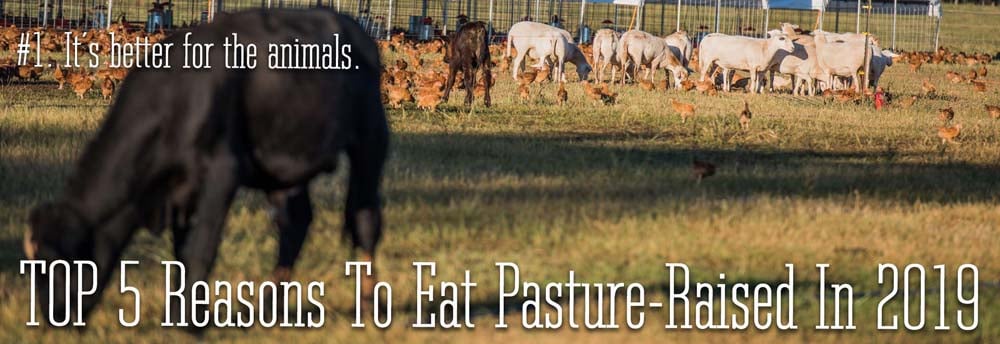 The #1 reason to eat pasture-raised in 2019. It is better for the animals.
