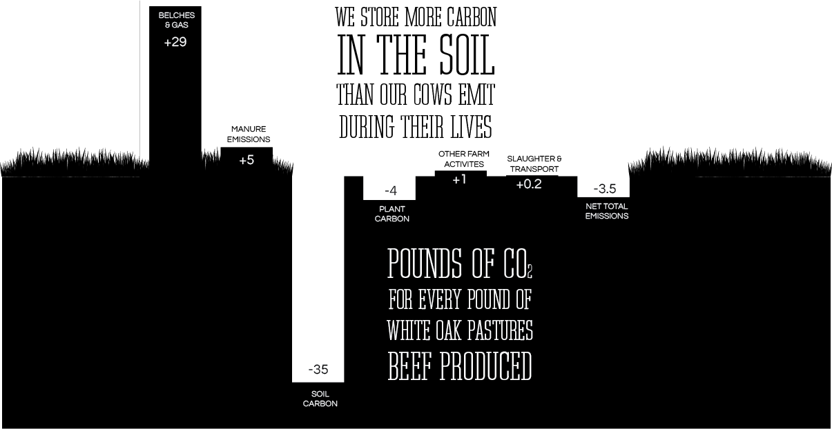 2-How-White-Oak-Pastures-Beef-Sequesters-Carbon-FB-1200