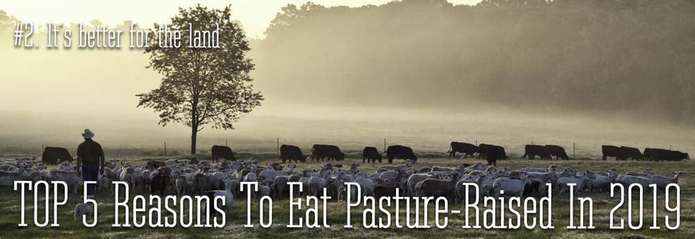 The #2 reason to eat pasture-raised in 2019. It is better for the land.