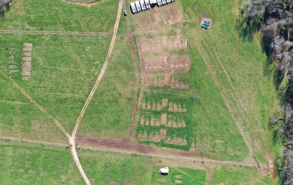 Before Land Regeneration former monoculture cropland