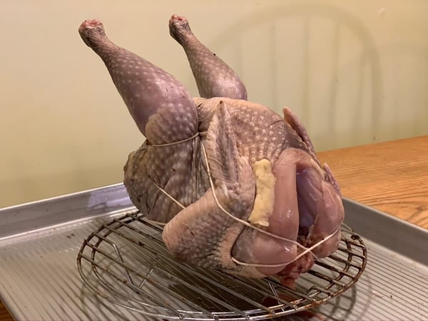 Brined guinea fowl trussed for oven 4