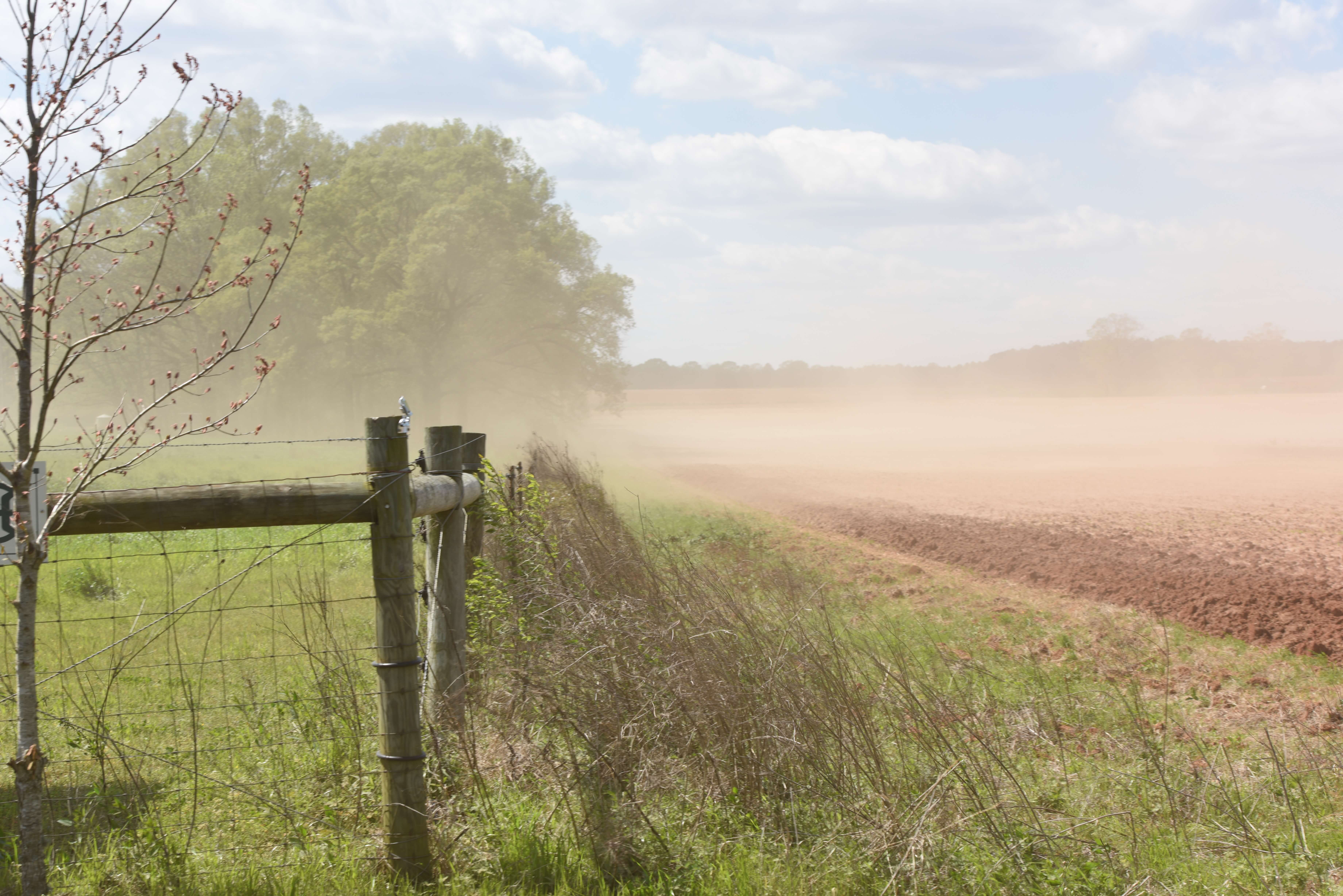 Conventional field next to regenerative pasture