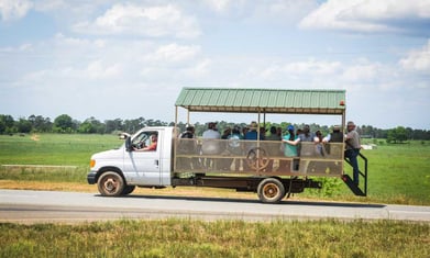 Our Tour Wagon is always busy taking guests and workshops around our pastures