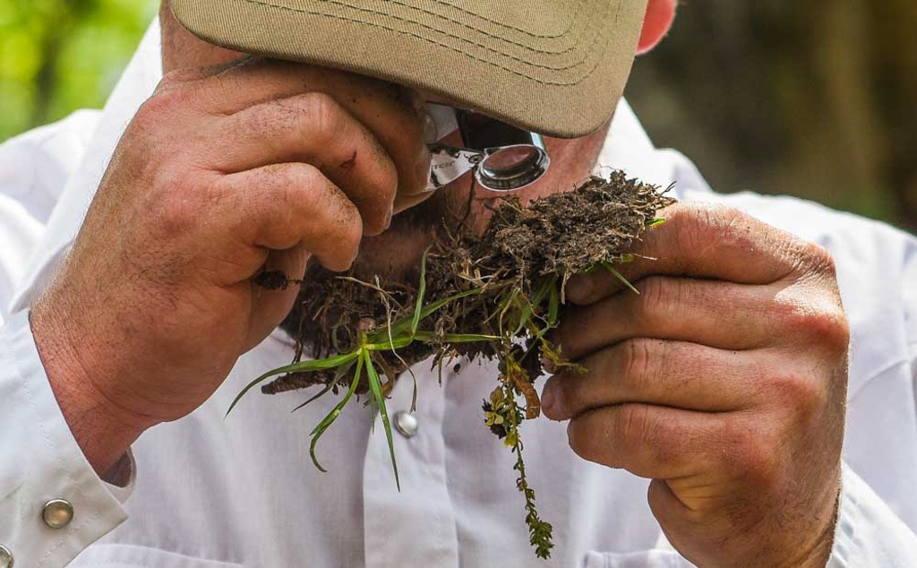 We are a leader in regenerative programs and pasture monitoring