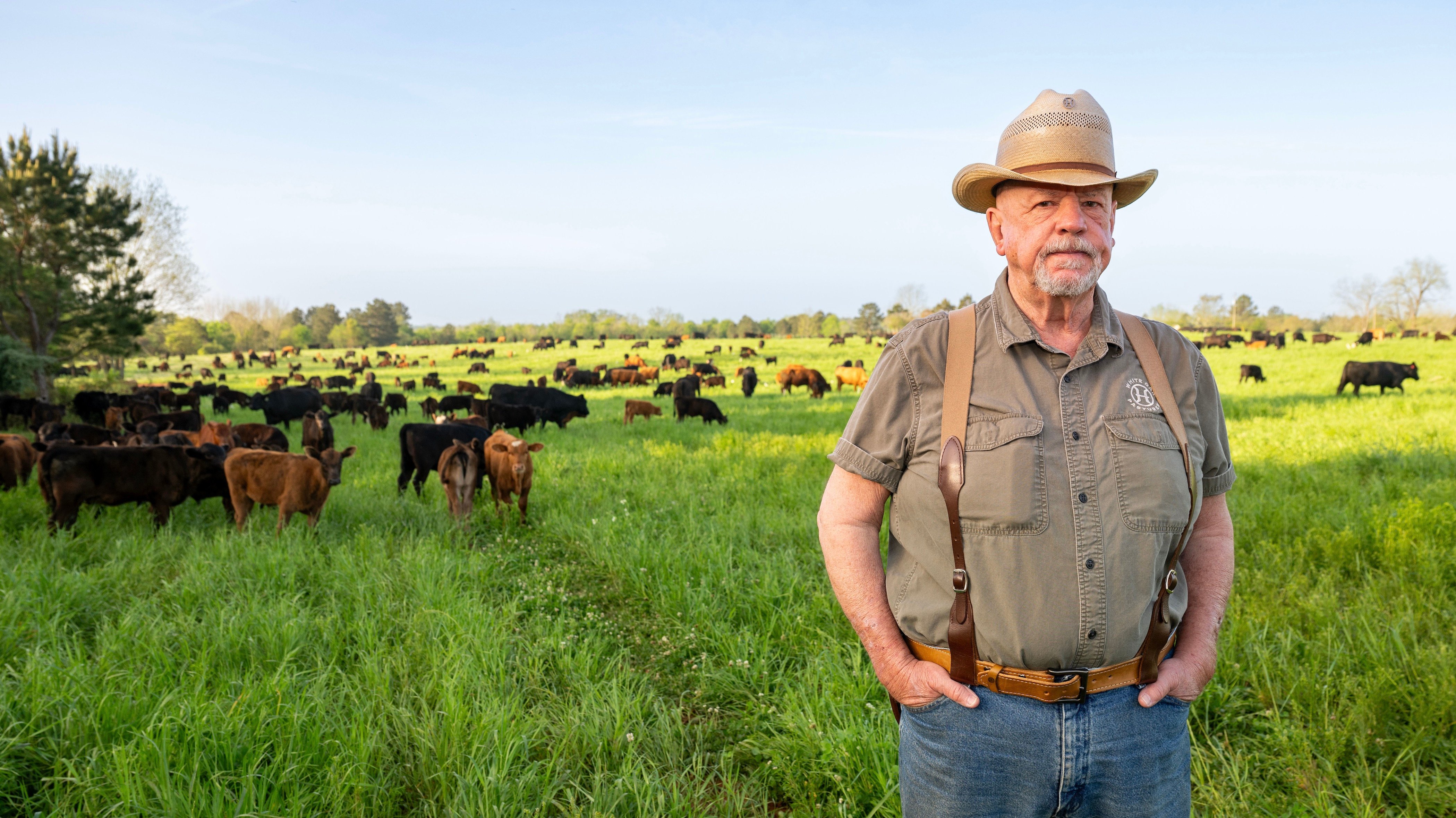 David_Carr_DSC_1575_will_harris_cattle