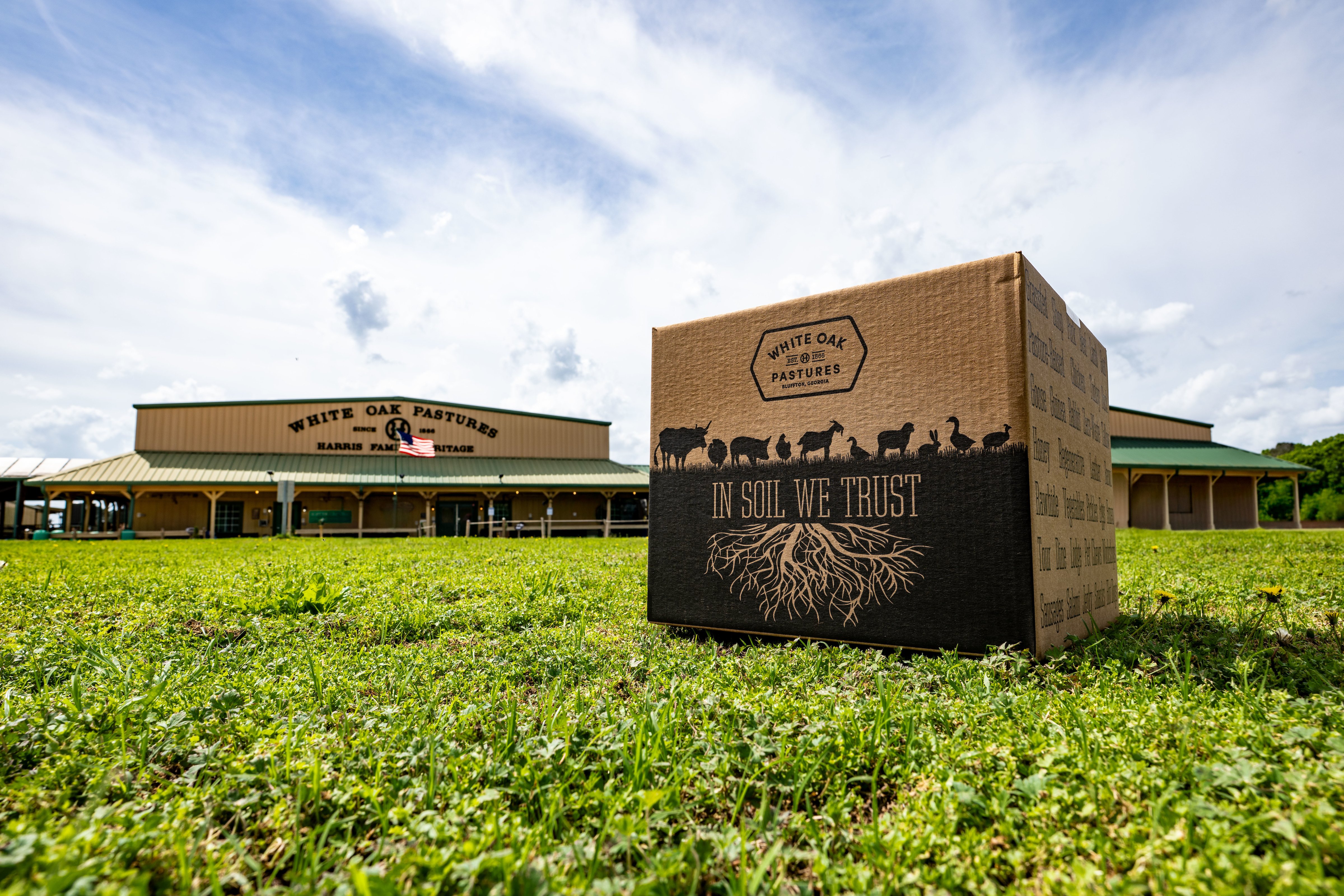 David_Carr_DSC_2725-Edit_processing_plant_packaging (2)