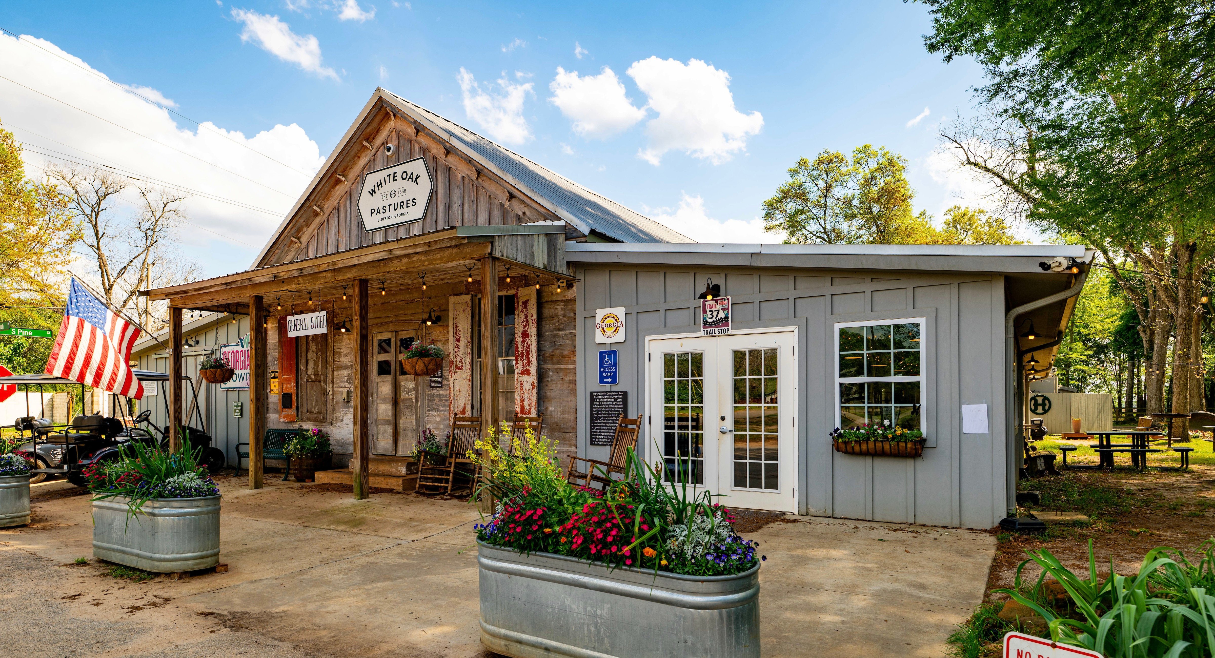 David_Carr_DSC_7958_general_store_flowers