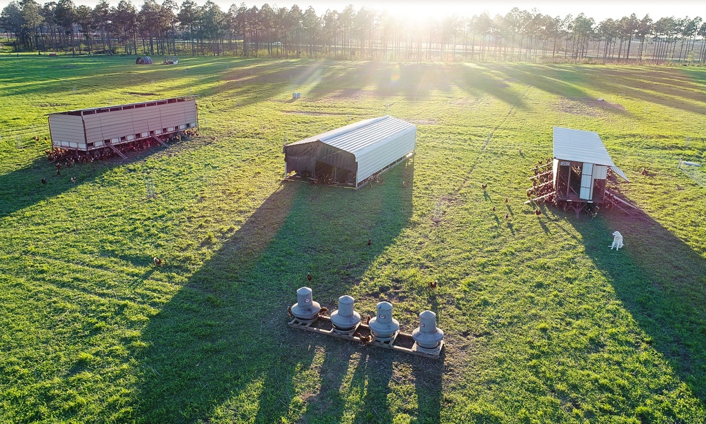 Drone Pasture-Raised Chickens