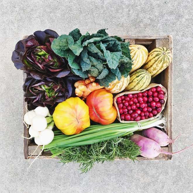 Fresh Harvest Vegetable Basket lettuce carrots squash kale raddish leeks rosemary tomato cranberry.jpg