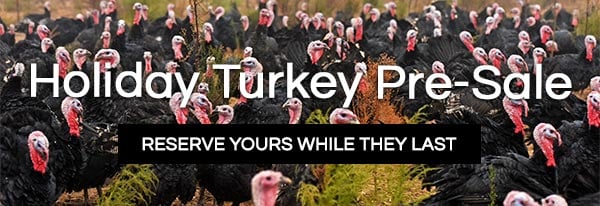 HolidayTurkeyPresale-600