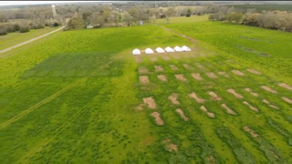 Pastured chicken houses leaving nitrogen heavy land