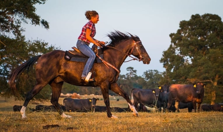 Agrotourism on our regenerative farm by horseback.jpg