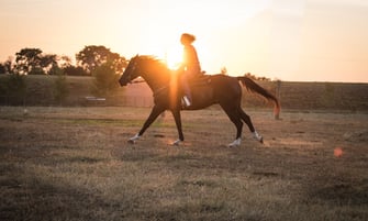 Jamie riding horse at sunset in pastures.jpg