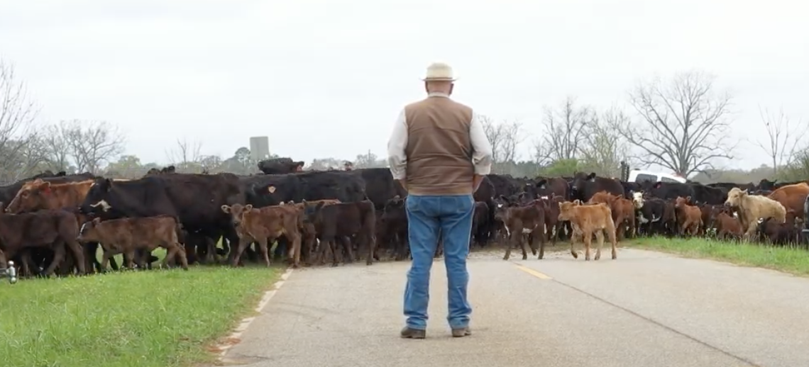 Screenshot 2025-12-03 at 1.35.48 PM