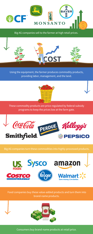 Supply Chain Infographic