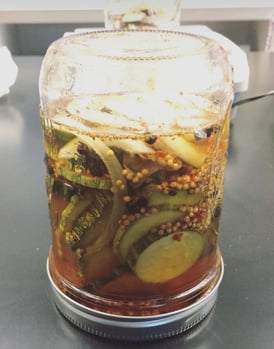 WOP-brined-pickles
