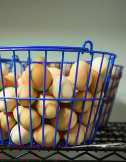 WOP-eggs
