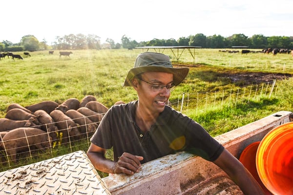 White Oak Pastures intern Olivier Deslandes