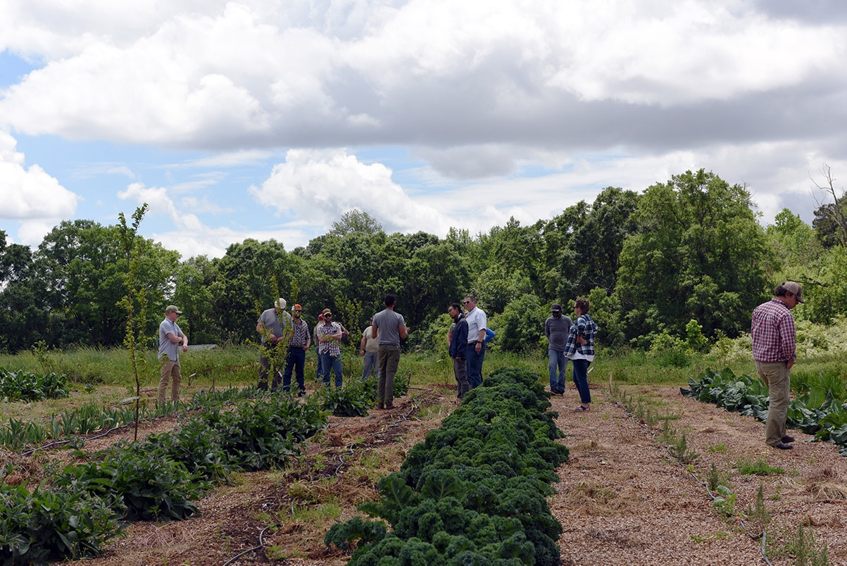 White Oak Pastures organic farming workshops