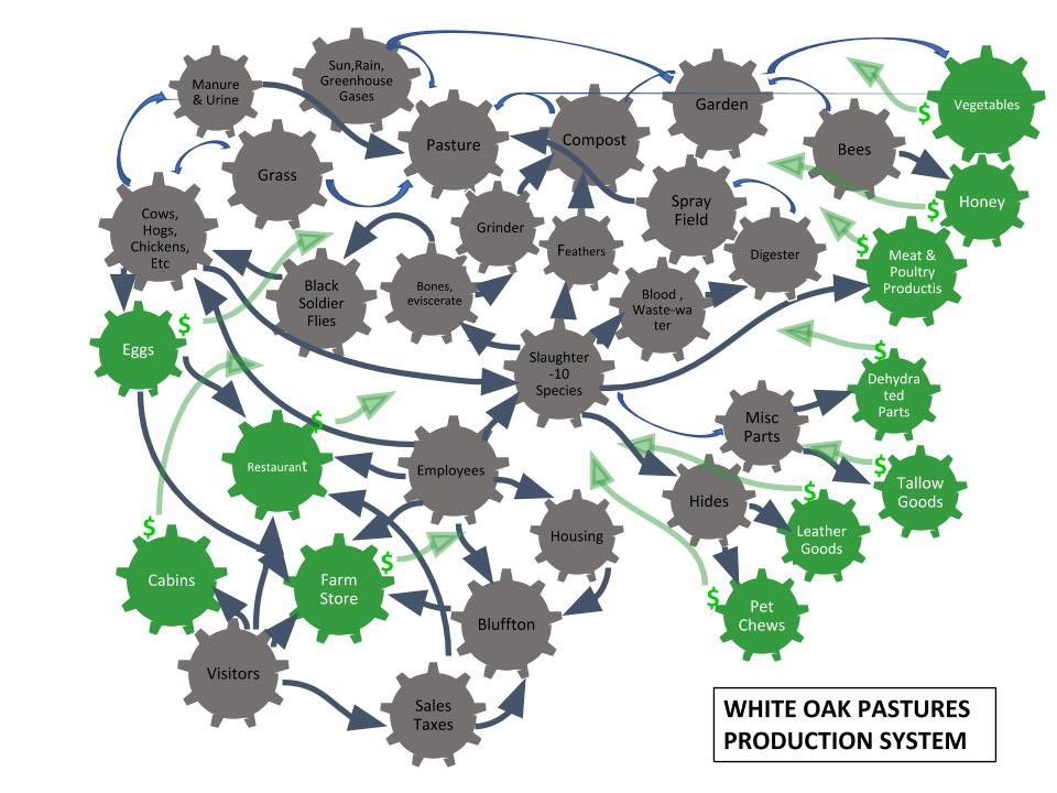 White-Oak-Pastures-Production-Diagram
