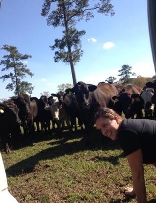 amber-with-cows-temple-grandin-jr-photo2-JPG