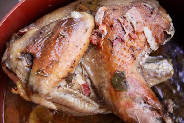 braised guinea fowl recipe
