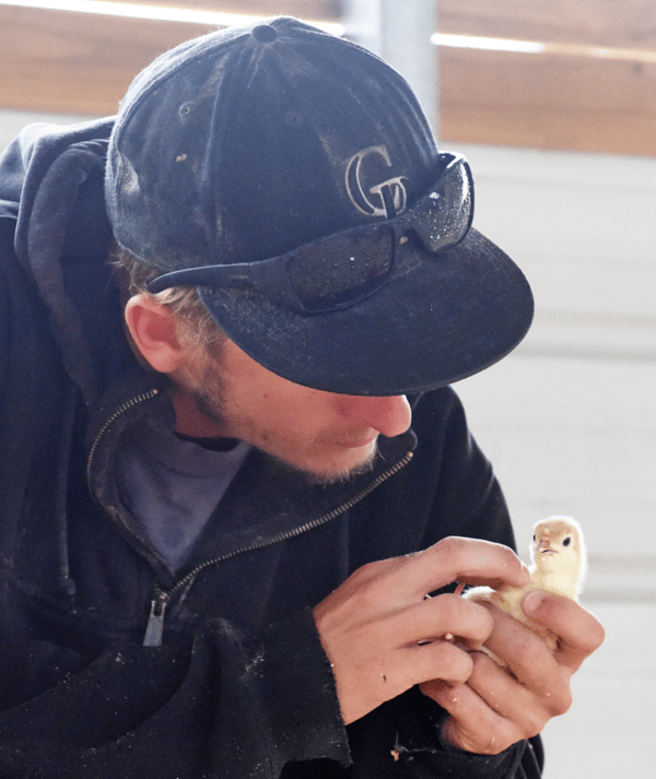 Tre Cates handles a baby turkey chick at White Oak Pastures