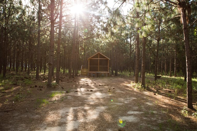 Rent the Woodland Cabin at White Oak Pastures