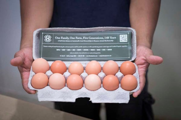 One dozen pastured chicken eggs from White Oak Pastures