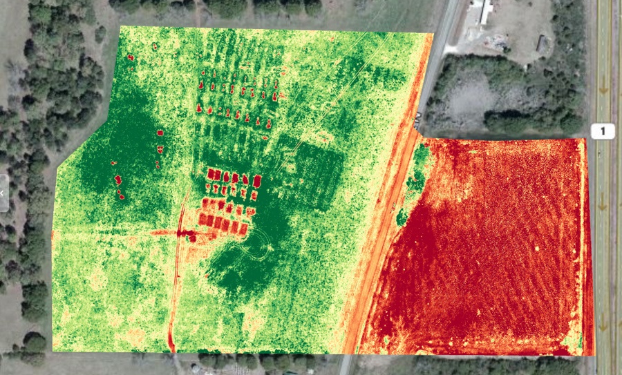 Drone footage showing pasture health