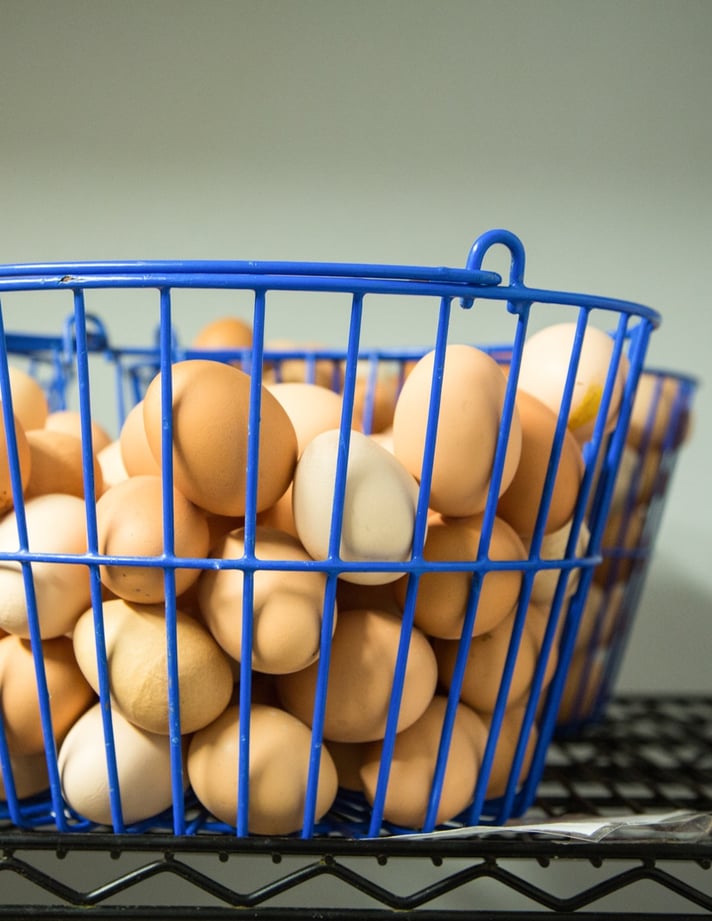 egg basket nongmo pastured eggs