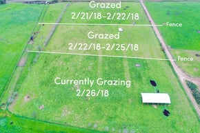 an example of our pasture grazing documentation