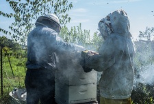 honey-harvest-8-16-2016-1.jpg