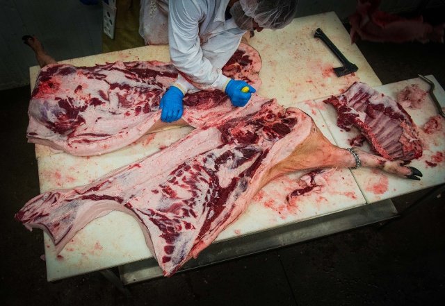 iberian pig slaughter