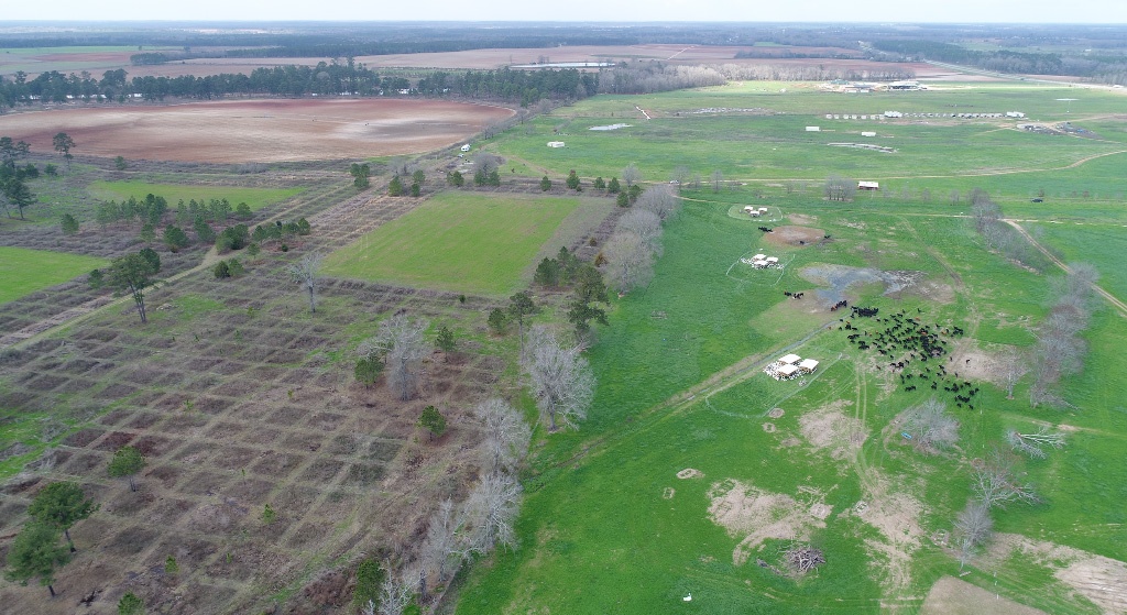 Holistic land management with rotational grazing is the best use of agricultural land