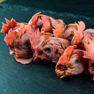 pastured_chicken_heads