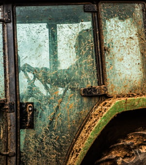 quan muddy tractor window feeding grass-fed pasture raised cattle