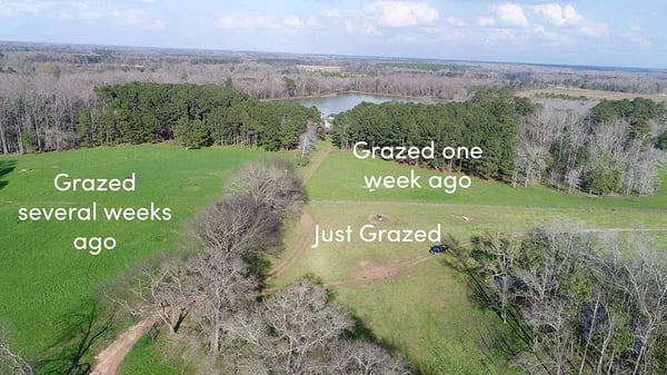 Aerial photo of the positive effects of livestock grazing and regenerative agriculture.