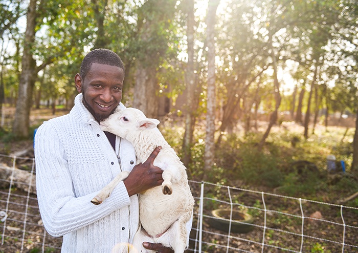 Chad holds one of the orphaned lambs located behind the General Store - Chads animal handling skills are always helpful on the farm