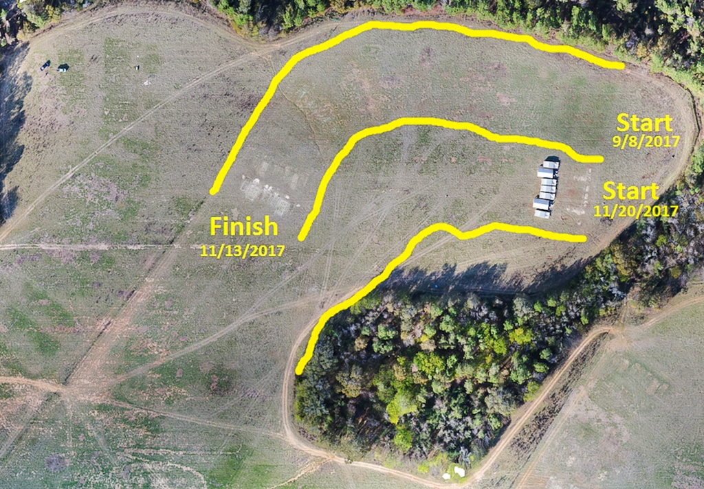 Planning to move turkeys using aerial images