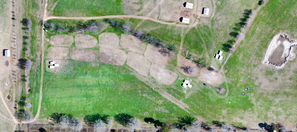 Drone image of pastured poultry at White Oak Pastures