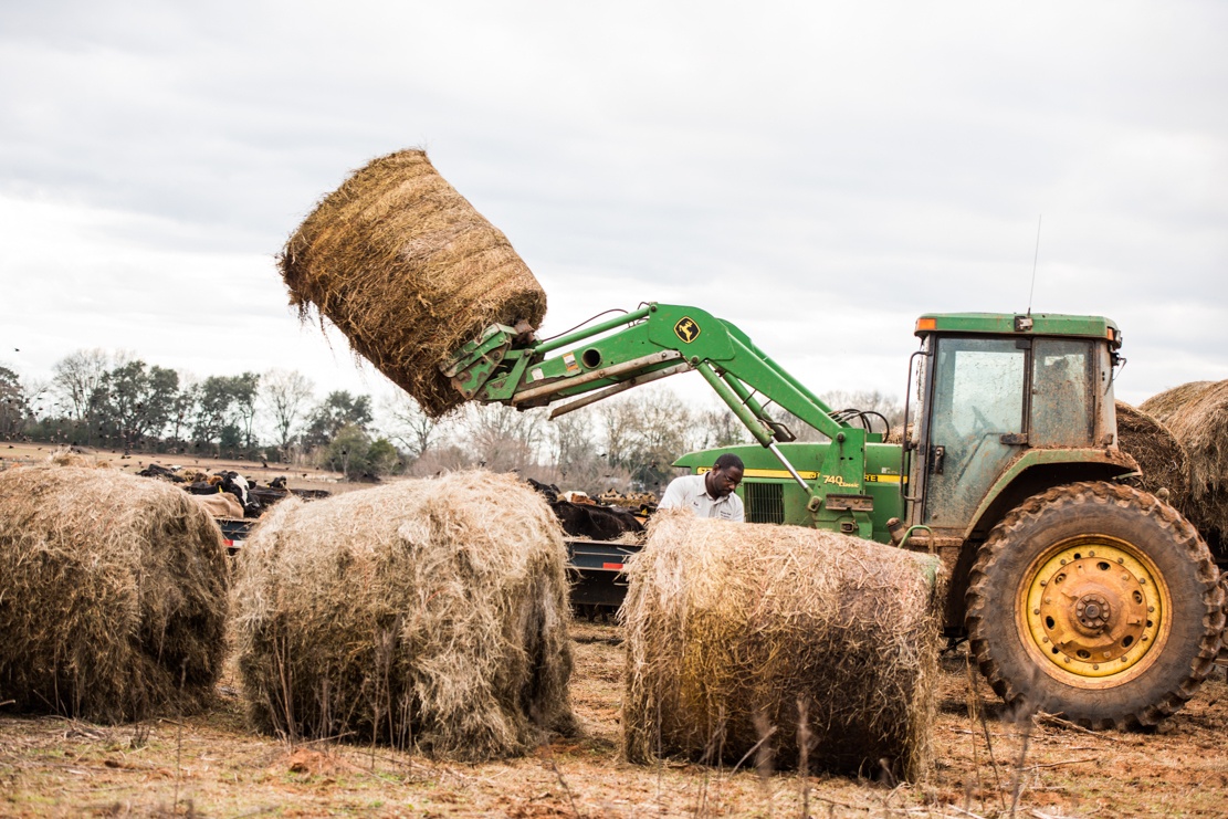 walt feeding hay in the winter