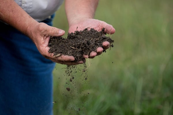 Regenerative farmer Will Harris inspects the soil at White Oak Pastures.