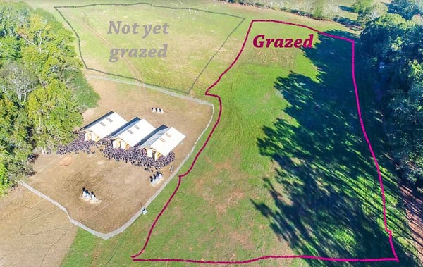 Land change over time comparing grazed not grazed pasture