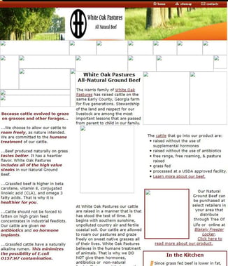 The earliest prototype of the White Oak Pastures website in 2005