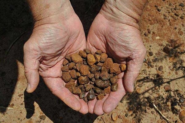 These tiny Appalachian rocks are treasure chests of minerals. Will's dad always told him, "pebbly ground is the best ground".