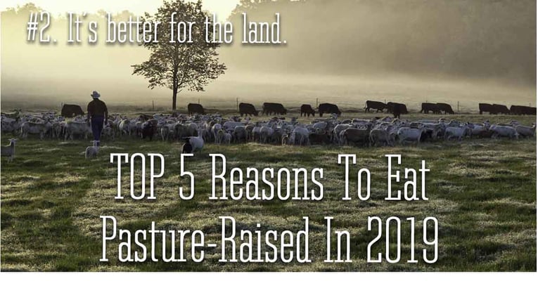 Reason 2 to eat pasture raised in 2019. It is better for the land.