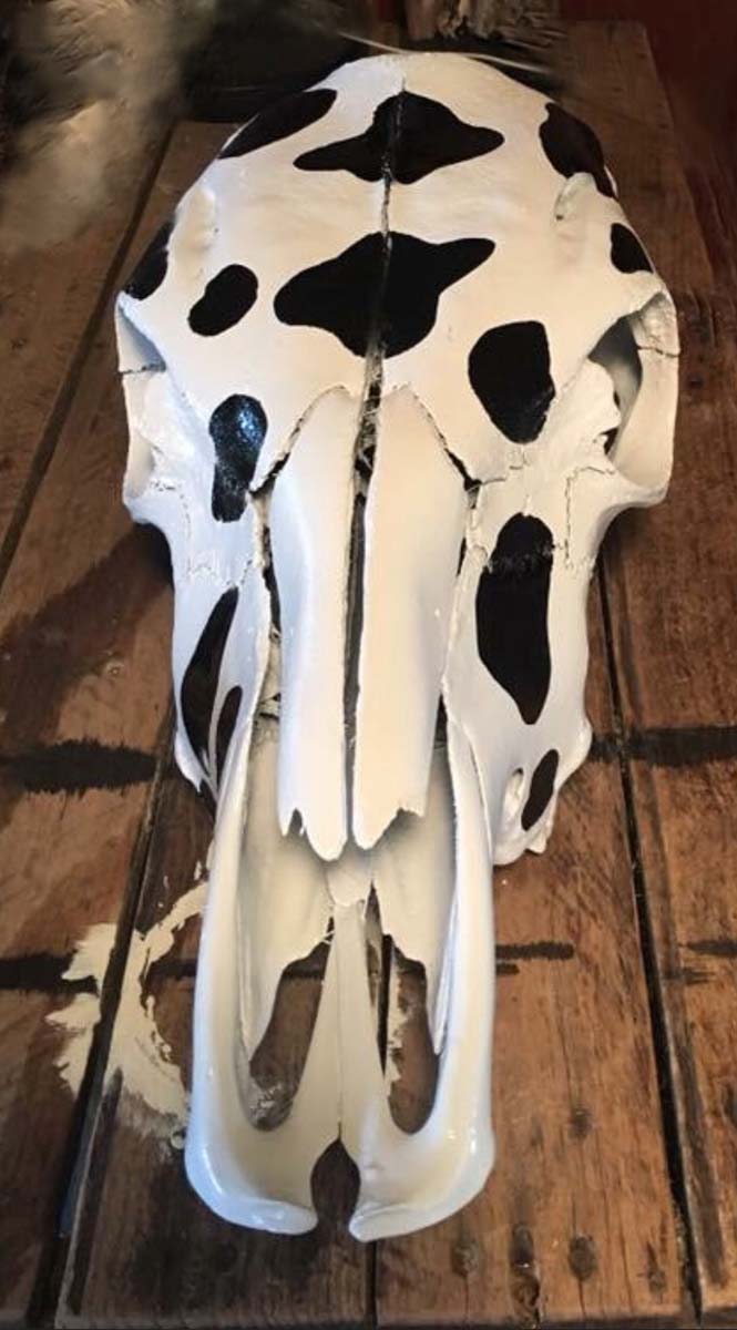 Denna-Peterson-Cow-Spot-Painted-Skull