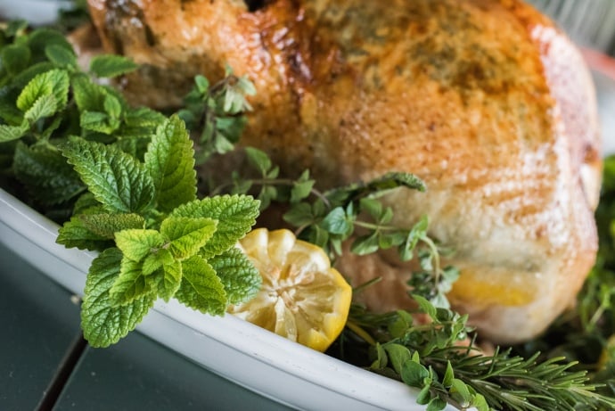 mortelliti_white_oak_pastures_lemon_herb_turkey-10-of-11