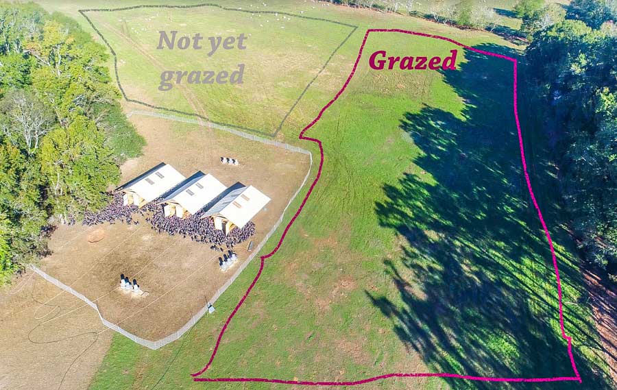 Land change over time comparing grazed not grazed pasture